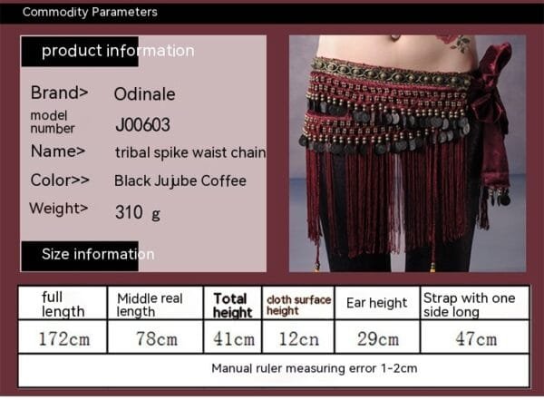 Belly Dance Waist Scarf Performance Tassel Hip Scarf Ethnic Tribe Dance Costume Belly Dance Waist Chain - Image 5