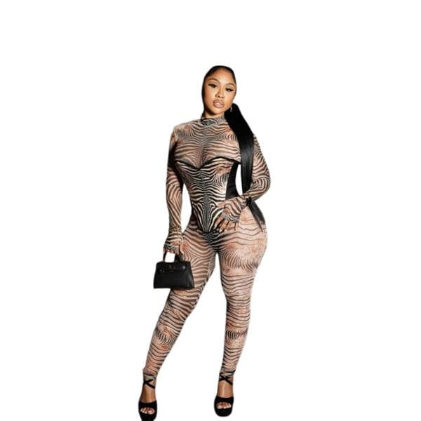 European And American Sexy Fashion Zebra Prints Mesh Finger Fit Design Long Sleeve High Waist One-piece Trousers - Image 5