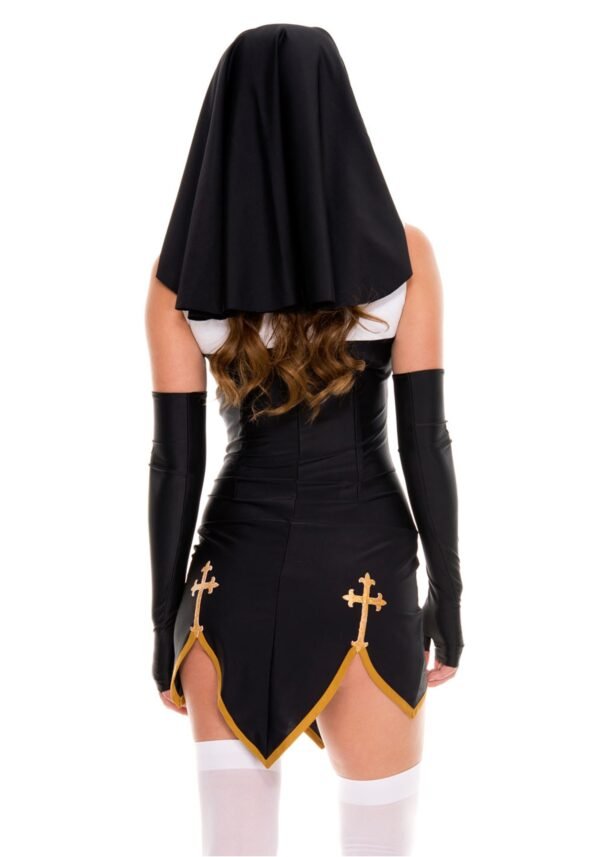 Sexy  Fancy Dress - Image 2