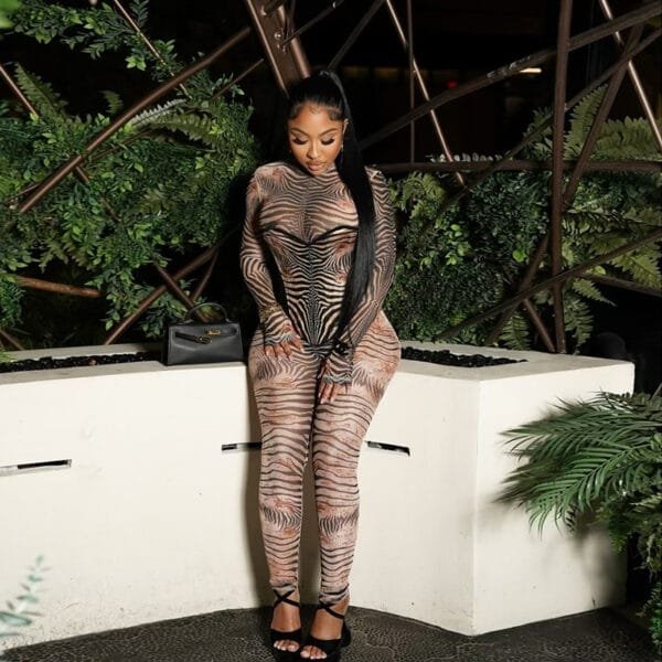 European And American Sexy Fashion Zebra Prints Mesh Finger Fit Design Long Sleeve High Waist One-piece Trousers - Image 4